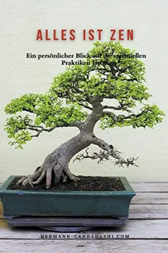 Produktbild: Alles ist Zen: Ein persnlicher Blick auf die spirituellen Praktiken Japans (Everithing Is Zen)
