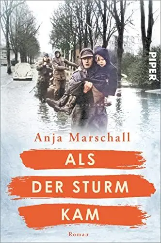 Produktbild: Als der Sturm kam (Schicksalsmomente der Geschichte 2): Roman | Die Hamburger Sturmflut von 1962 | Historischer Roman