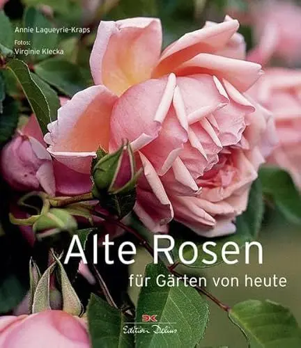 Produktbild: Alte Rosen für Gärten von heute