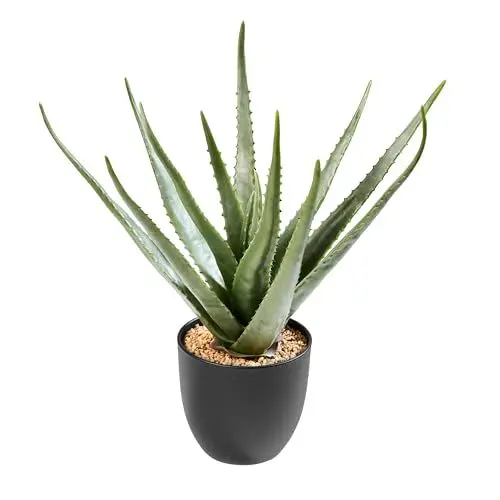 Produktbild: AMARE Kunstpflanze Aloe 53 cm