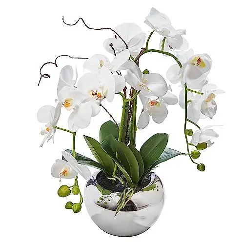 Produktbild: AMARE Phaleanopsis-Arrangement im Silbertopf, 55cm, weiß, Real Touch, Groß