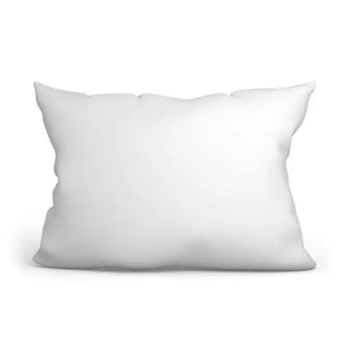 Produktbild: Amazinggirl Kopfkissen 40 x 60 cm Sofakissen Pillow und Polster - Bett und Sofa Kissen Schlafkissen Dekokissen Zierkissen und Kopfpolster Pillows for Sleeping Mikrofaser Oeko-Tex