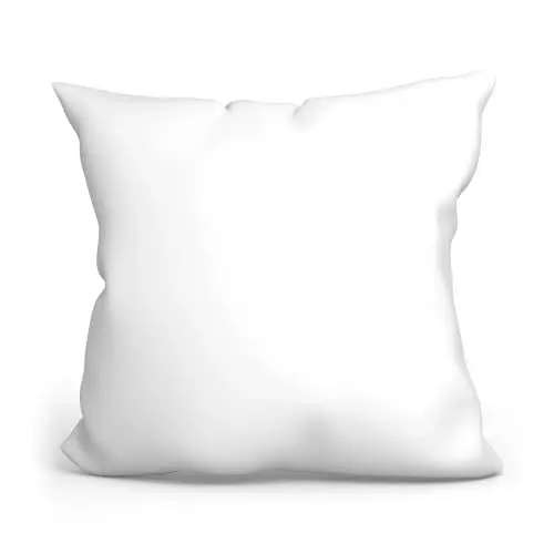 Produktbild: Amazinggirl Kopfkissen 45 x 45 cm Sofakissen Pillow und Polster - Bett und Sofa Kissen Schlafkissen Dekokissen Zierkissen und Kopfpolster Pillows for Sleeping Mikrofaser Oeko-Tex