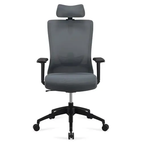 Produktbild: Amazon Basics Ergonomischer Chefsessel, hohe Rückenlehne, Schreibtischstuhl, Bürostuhl, verstellbare Kopfstütze, Armlehnen und Lendenwirbelstütze, 63 x 59,5 x 124 cm, grau