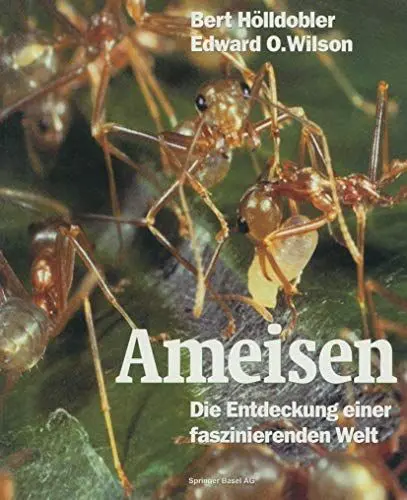 Produktbild: Ameisen: Die Entdeckung einer faszinierenden Welt