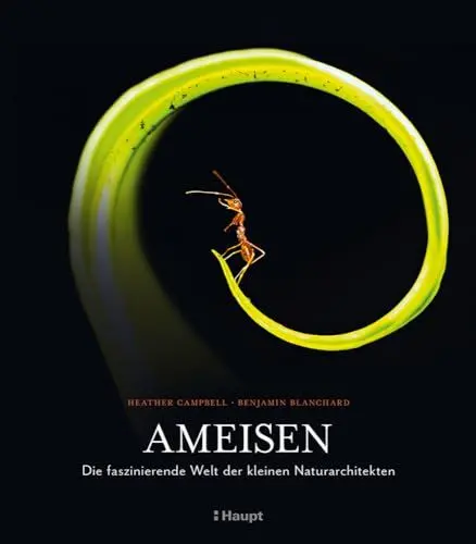 Produktbild: Ameisen: Die faszinierende Welt der kleinen Naturarchitekten