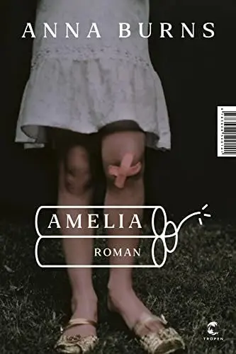 Produktbild: Amelia: Roman