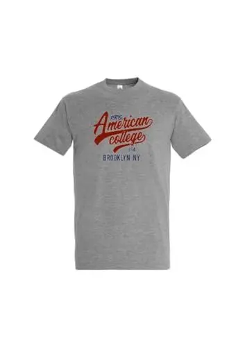 Produktbild: AMERICAN COLLEGE USA, T Shirt, Polo, Shirt, Jungen, Mädchen, Hemden, Hemd, Sweat Shirt, Freizeit Mode, Sportlich, Bedruckt, Kinder Bekleidung, Unisex, Modell AC203 Grau, 10 Jahre