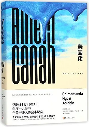 Produktbild: Americanah