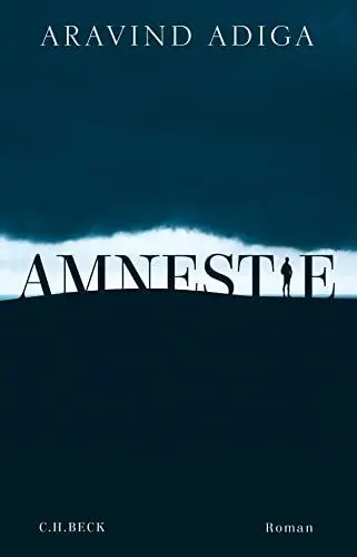 Produktbild: Amnestie: Roman