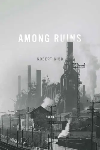 Produktbild: Among Ruins (Ernest Sandeen Prize in Poetry, Band 1)