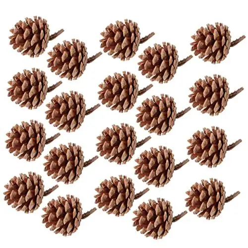 Produktbild: Amosfun 20St Tannenzapfen-Ornamente Miniature Pine Cones Weihnachtstannenzapfen weihnachtsdeko Cute deko Christbaumschmuck Weihnachtsbaumschmuck dekorative Anhänger getrocknete Blumen
