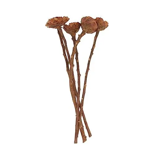 Produktbild: Amosfun 5St getrockneter Blumenstrauß Foto-Requisite getrocknete gepresste Trockenblumen Blumendekor bürodeko büro Dekoration getrockneter Strauß Nordische getrocknete Brown