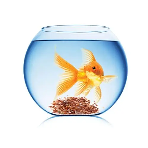Produktbild: Amosfun Aquariensteine ​​für Aquarien Fischbecken Schaukelt Kies Natürlicher Polierter Zierkies Aquarienkies Kiesel Aquariensand Kiessteine Aquariumfelsen Landschaftsstein Betta Fisch