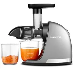 Produktbild: AMZCHEF Entsafter Gemüse und Obst Testsieger - Entsafter Slow Juicer mit Rückwärts-Kau-Funktion - Zartes Zerkleinern ohne Filtern - Saftpresse Elektrisch mit Bürste und 2 Tassen - Silber