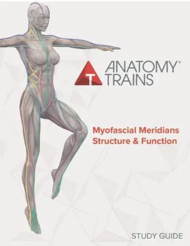Produktbild: Anatomy Trains Myofascial Meridians Structure & Function Study Guide