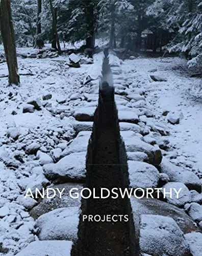 Produktbild: Andy Goldsworthy: Projects
