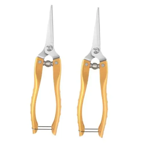 Produktbild: Angoily 2 Stück Gartens chere astscheren hochastschere pflanzenpflege Anlage Chopper Gemüseschneider Blumenschneider für Stiele Pflanzenschere beschneidet drinnen Rostfreier Stahl Golden