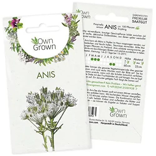 Produktbild: Anis Samen: Premium Anis Saatgut für die Anzucht von 100 aromatischen Anis Pflanzen – Tee Pflanze Kräuter Samen für Kräutertee – Kräutersamen für die Anis Tee Pflanze, Samen Kräuter – OwnGrown Kräuter