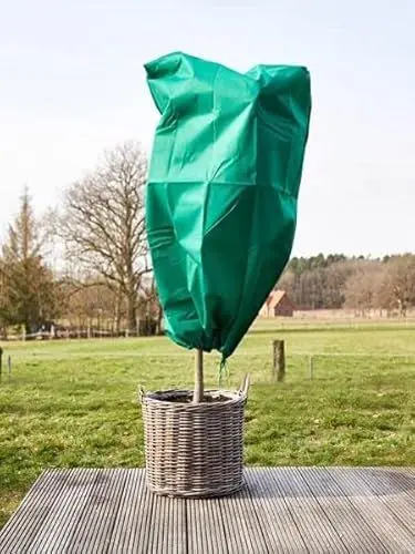 Produktbild: ANLAUFS-FRUCHTSCHUTZ24 1 Frostschutzbeutel mit Reißverschluss und Kodelzug, Winterschutz für Pflanzen, Kübelpflanzensack, Vlies-Schutzhaube, grün (160x120 cm, 75 cm Durchmesser)
