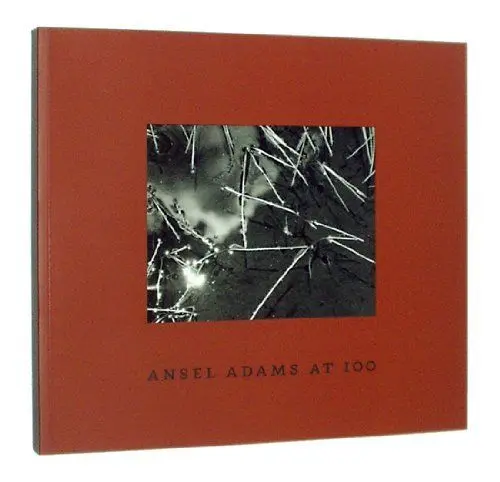 Produktbild: Ansel Adams at 100