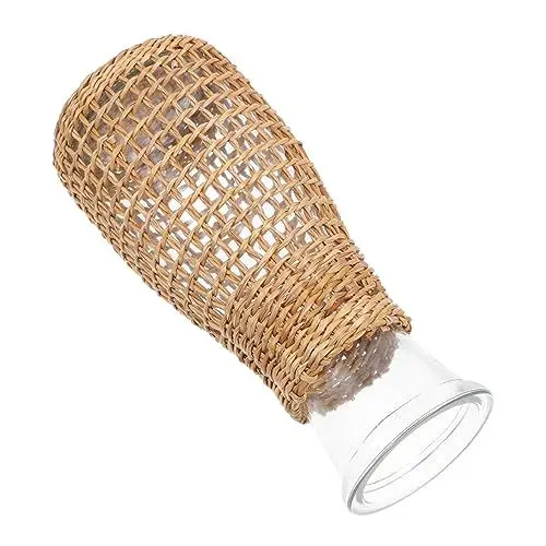 Produktbild: AOKWAWALIY 1stk Glasvase Aus Stroh Deko Vase Glas Hydroponik Vase Kristallvase Glasvase Transparent Glas Tischvase Landhausstil Vase Glas Hydrokultur Vase Getrocknete Blumen Dekorationen