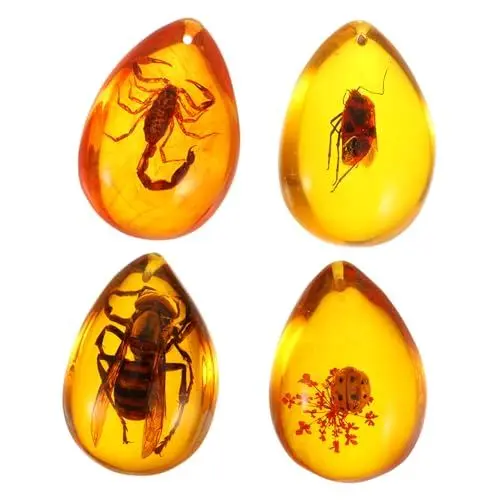 Produktbild: AOKWAWALIY 4 Stück Bernsteinexemplar Exemplar-anhänger Fossilienproben Von Steinen Kristallproben Bernstein-fossilschmuck Wissenschaftliche -halskette Bernsteinfossil Harz Insekt Zubehör