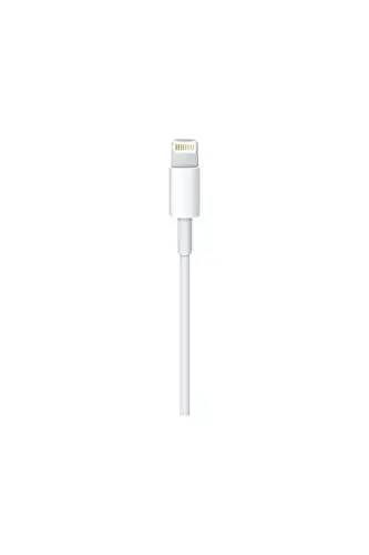 Produktbild: Apple Lightning to USB Cable (0.5 m)