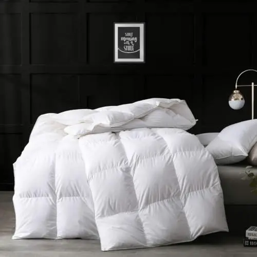 Produktbild: APSMILE Daunendecke 240x260 Winter Bettdecke Dicke füllung Sehr Warm, Hohe Flauschigkeit Gänsedaunen und Federn, Winterdecke 240x260 aus Ägyptische Baumwollmischung, Allergiker Natur Duvet