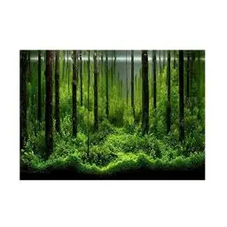 Produktbild: Aquarium Dekoratives Plakat, Aquarium Hintergrund Dekoratives Papier Aquarium Wald Hintergrund Poster Aquarium Aquarium Hintergrund Dekoratives Papier Pvc Aquarium Dekoratives Papier(122*46Cm)