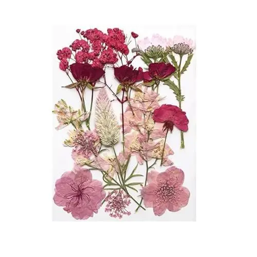 Produktbild: Arcjunys Gepresste Blumen Getrocknete Blumen Trockenblumen zum Basteln Getrocknete Blüten Dried Pressed Flowers für Kunst DIY Harz Scrapbooking Handwerk Karten Machen 16 Stück