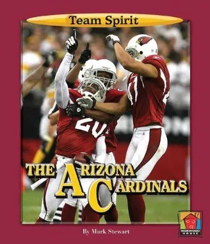 Produktbild: Arizona Cardinals (Team Spirit)