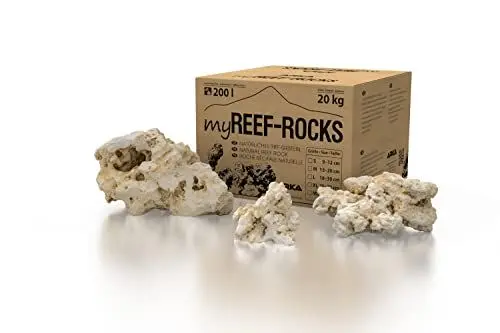 Produktbild: ARKA Aquatics ARKA myREEF-Rocks | Riffgestein für natürliche Aufbauten in jedem Meerwasser Aquarium | Ca. 18-30 cm | Schadstofffrei | Ideale Siedlungsfläche für nützliche Bakterien. | Inhalt: 20 kg
