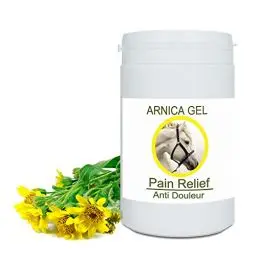 Produktbild: Arnika FORTE Gel-Konzentrat 100% aus Bio-Anbau | Massage-Gel für Muskeln und Gelenke | Feuchtigkeitscreme für die Haut | Schnelle Absorption, 1000g