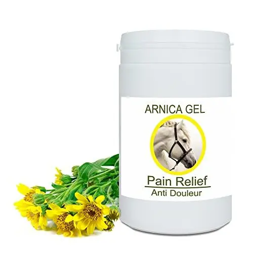 Produktbild: Arnika FORTE Gel-Konzentrat 100% aus Bio-Anbau | Massage-Gel für Muskeln und Gelenke | Feuchtigkeitscreme für die Haut | Schnelle Absorption, 1000g