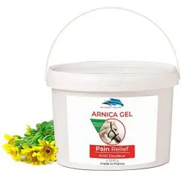 Produktbild: Arnika FORTE Gel-Konzentrat 90% Arnika-Extrakt BIO aus Biologischem Anbau. Massage-Gel für Muskeln und Gelenke. Feuchtigkeitscreme für die Haut - 2200 g 2.2 kg