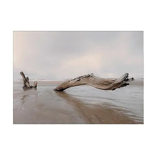 Produktbild: Art for the Home Outdoor Leinwandbilder Treibholz 50x70cm | 50 x 70