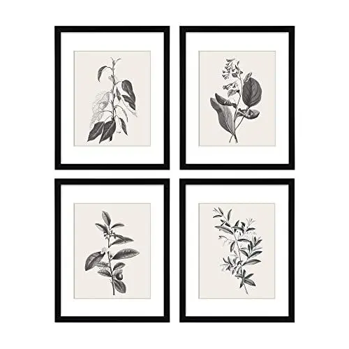 Produktbild: ArtbyHannah 4er Set Bilderrahmen, schwarz 28x35cm, mit Acrylglas zum Aufhängen, Holzrahmen mit botanischer Wandkunst und Pflanzenpostern für Wohnzimmer & Küche, inkl. zusätzlichen Drucksets