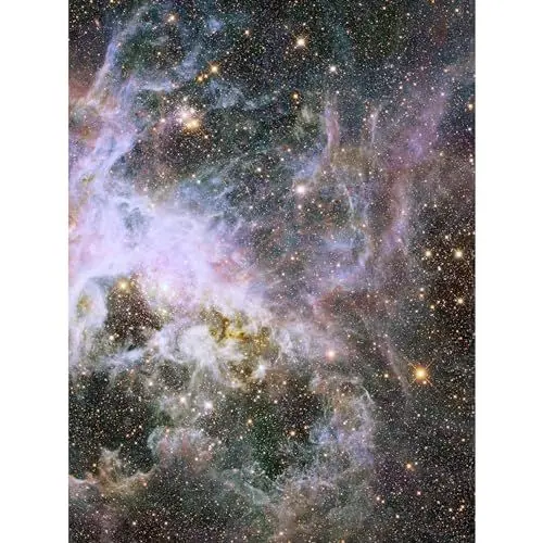 Produktbild: Artery8 Hubble Space Telescope Image Probes Interior Of Tarantula Nebula Near Infrared Deep View 30 Doradus Star Birth Dust Large Magellanic Cloud Premium Wall Art Canvas Print 18X24 Inch