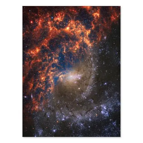 Produktbild: Artery8 NASA Hubble James Webb Telescope View of Spiral Galaxy NGC 2835 Living Room Art Print Canvas Premium Wall Decor Poster Mural
