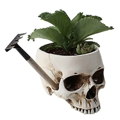 Produktbild: Artibetter Halloween-schädeldekoration Pflanzgefäße Für Den Garten Blumentopf Dekorative Pflanzgefäße Für Zimmerpflanzen Behälter Für Blumentöpfe Topfpflanzer Drinnen Büro Sukkulenten Kaktus