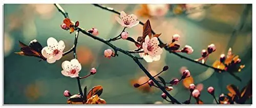 Produktbild: ARTLAND Glasbilder Wandbild Glas Bild einteilig 125x50 cm Querformat Natur Botanik Blumen Blüten Japan Kirschblüte Asien Zweig Frühling T5VP