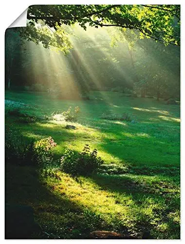 Produktbild: ARTLAND Wanddeko Poster & Kunstdrucke Wandposter 60x80 cm Natur Landschaft Wald Sonne Wiese Landhaus Modern T5XX