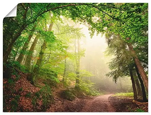Produktbild: ARTLAND Wanddeko Poster & Kunstdrucke Wandposter 80 x 60 cm Landschaften Wald Foto Grün Natürliche Torbögen durch Bäume B6UU