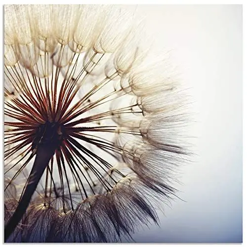 Produktbild: ARTland Wanddeko Wandbild Alu Verbundplatte für Innen & Outdoor Bild 30x30 cm Blumen Pusteblume Botanik Blüten Modern Kunst Sommer Natur T4RE