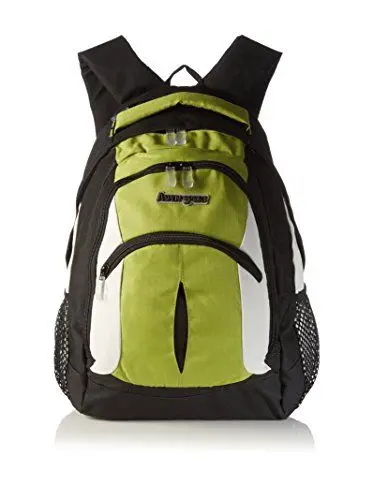 Produktbild: AspenSport Rucksack Pikes Peek, schwarz/Grün, 46 x 31 x 25 cm