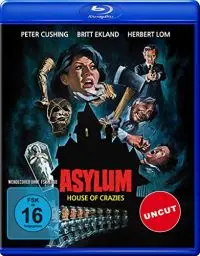 Produktbild: Asylum - Irrgarten des Schreckens - (Uncut) (Blu-ray)
