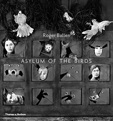 Produktbild: Asylum of the Birds