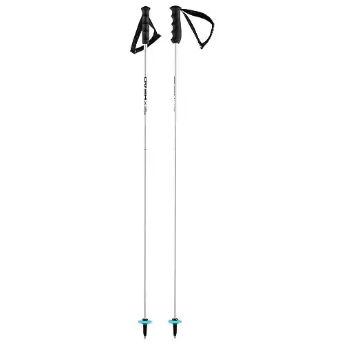 Produktbild: HEAD Unisex – Adult Worldcup Rebels Carbon Skistöcke, weiß, 125