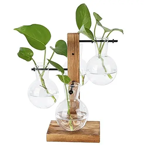 Produktbild: AUNMAS Terrarium mit Holzständer, Desktop Hydrokultur Blumenvase Luftpflanzer Halter mit 4 Glühbirnen Becherglas Vase und Massivholzständer für Home Office Dekoration, Transparent
